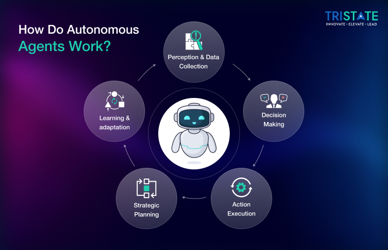 How Do Autonomous Agents Work